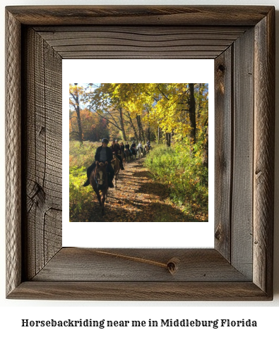 horseback riding near me in Middleburg, Florida